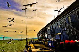 在线DDOS平台攻击